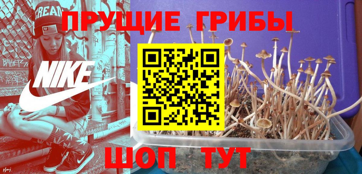 Ефремов  Галлюциногенные грибы мицелий  Вход с VPN 