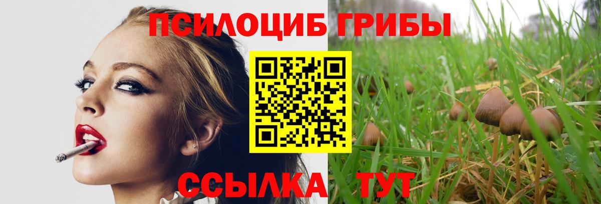Псилоцибиновые грибы Psilocybine cubensis Ефремов